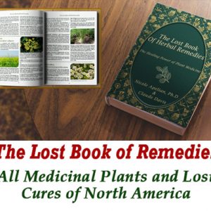 The Lost Book of Herbal Remedies PDF Download