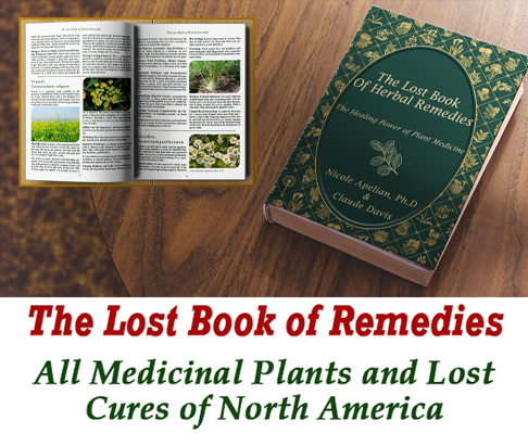 The Lost Book of Herbal Remedies PDF Download