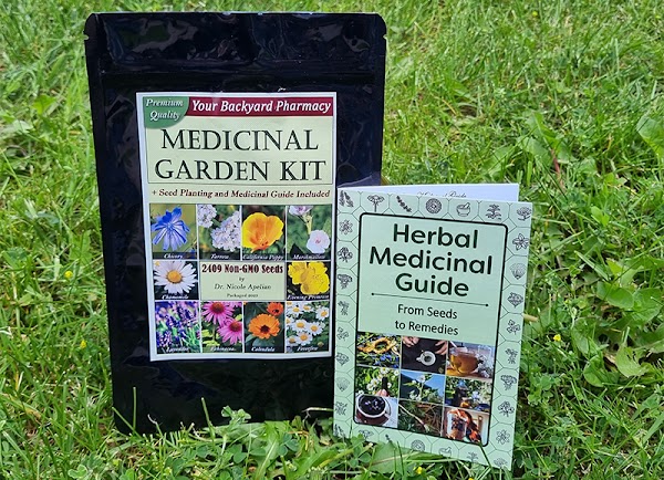 The Lost Book of Herbal Remedies PDF Download